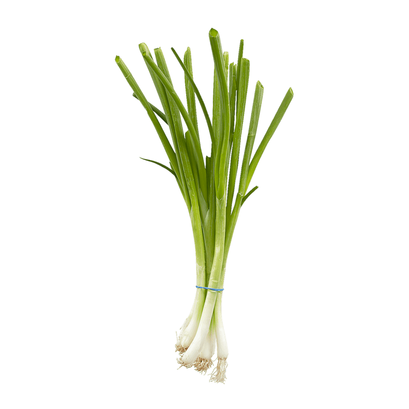 Oignons verts