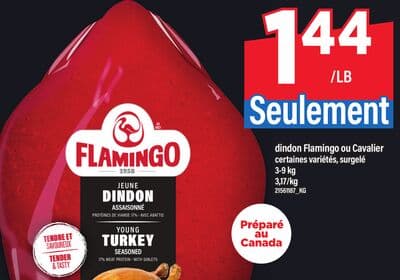 Dindon cavalier dindon flamingo ou cavalier, 3-9 kg